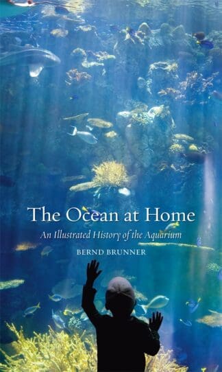 The Ocean at Home (Paperback)