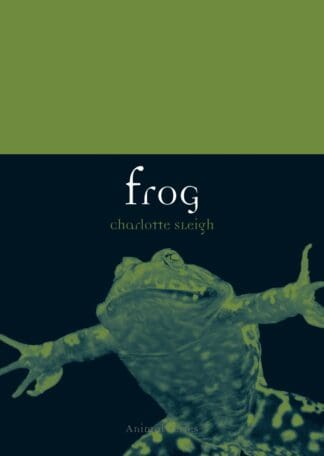 Frog (Paperback)
