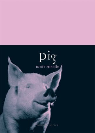 Pig (Ebook)