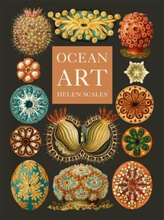 Ocean Art (Hardback)