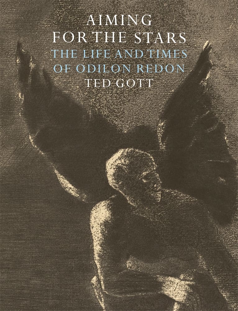 Aiming for the Stars (Hardback)