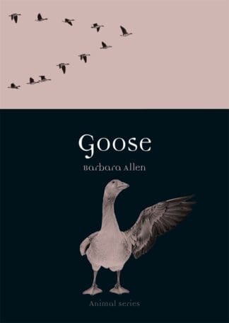 Goose (Paperback)