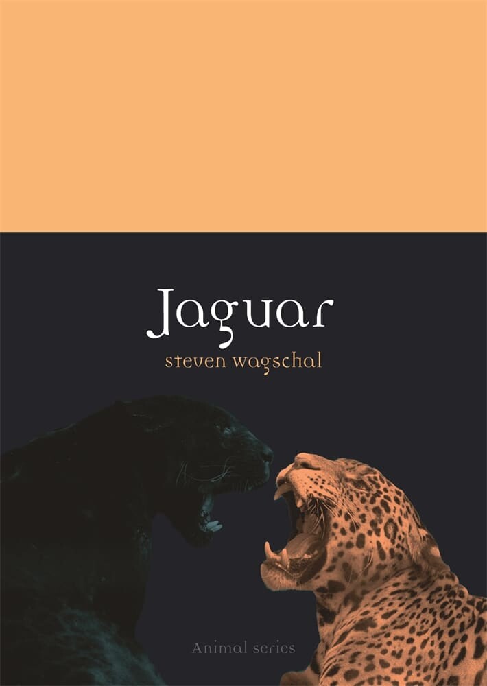 Jaguar (Paperback)