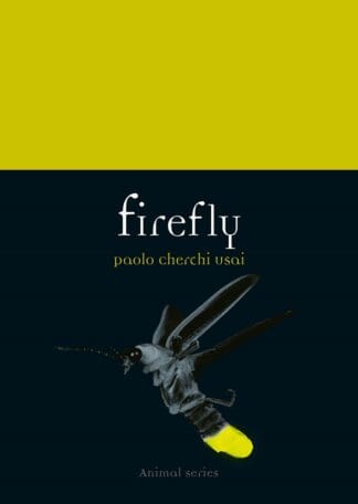 Firefly (Ebook)