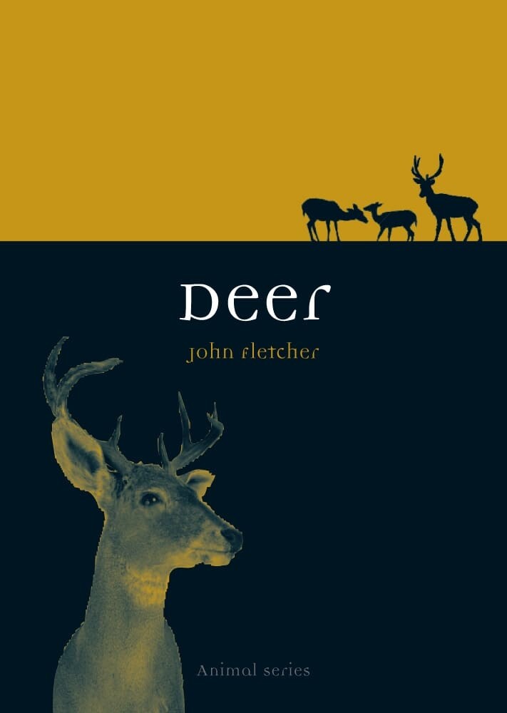 Deer (Paperback)
