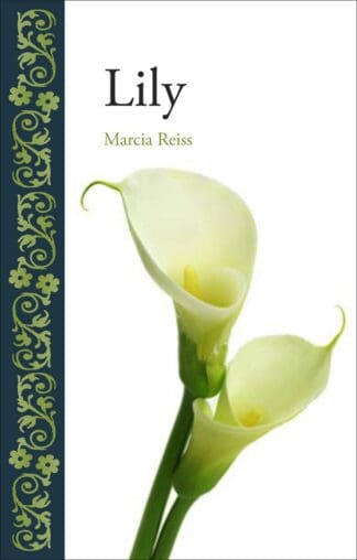 Lily (Hardback)