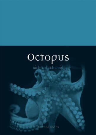 Octopus (Paperback)