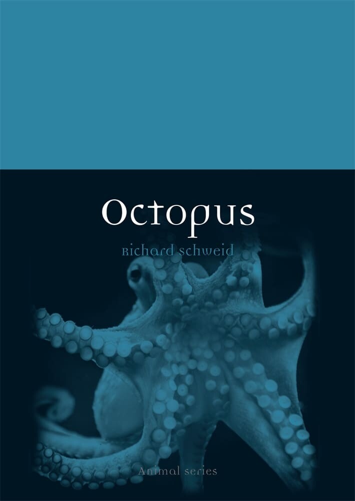 Octopus (Paperback)