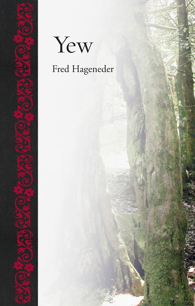 Yew (Hardback)