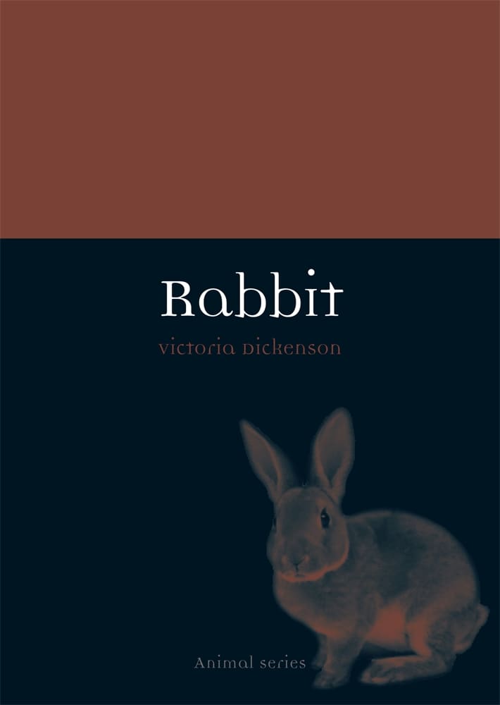 Rabbit (Ebook)