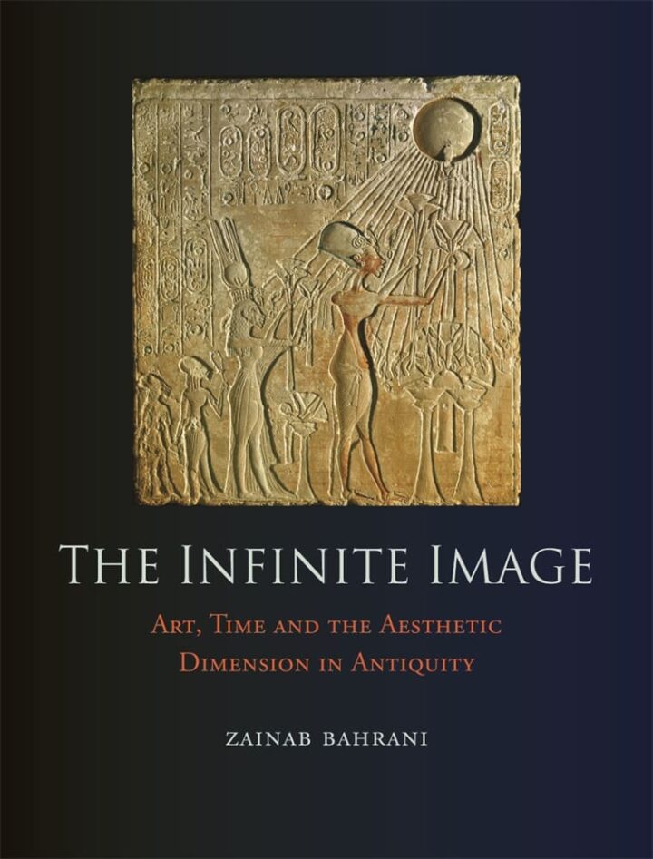 The Infinite Image (Hardback)