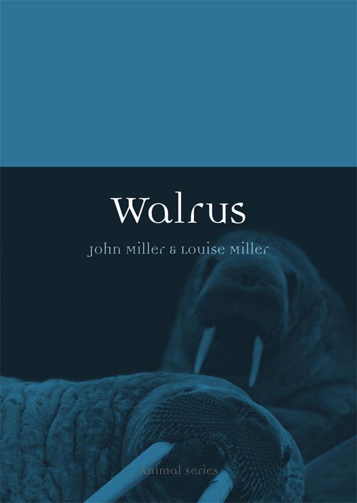 Walrus (Paperback)