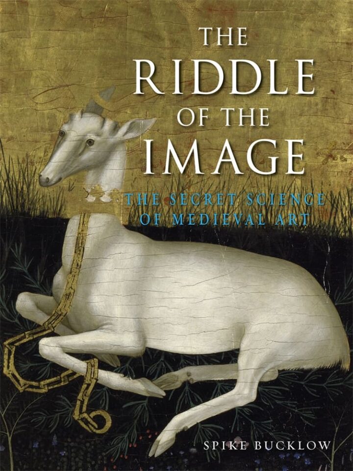 The Riddle of the Image (Hardback)