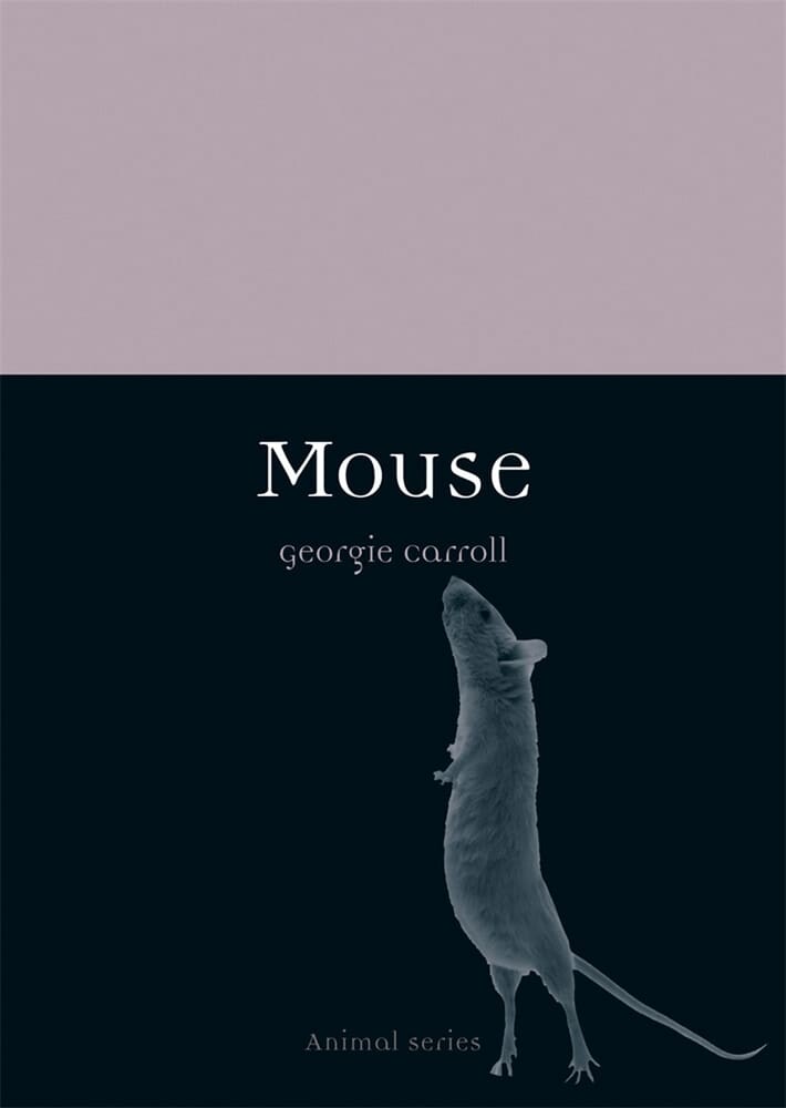 Mouse (Paperback)