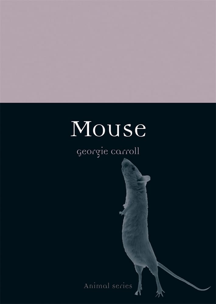 Mouse (Paperback)