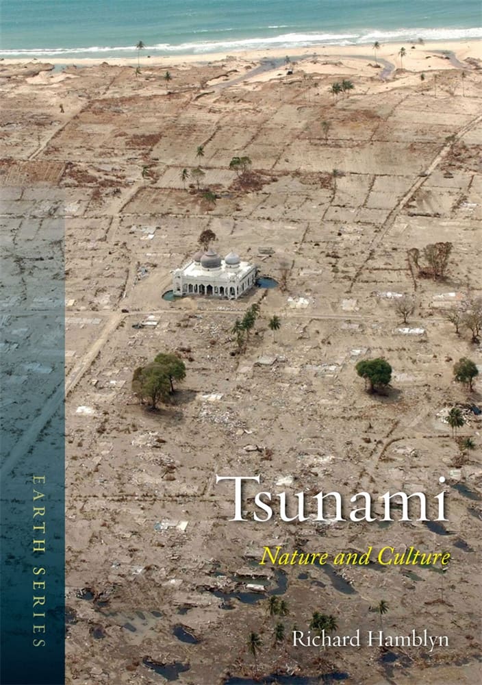 Tsunami (Paperback)
