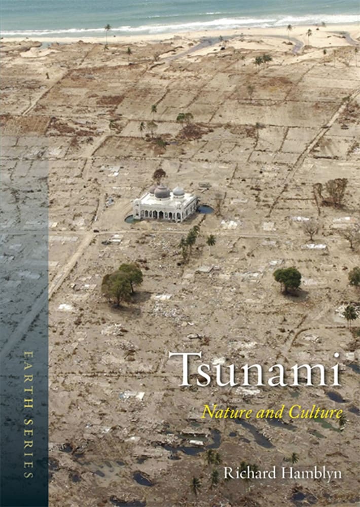 Tsunami (Ebook)