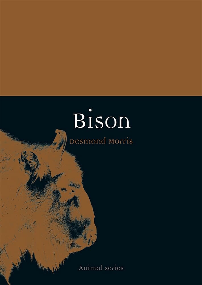 Bison (Paperback)