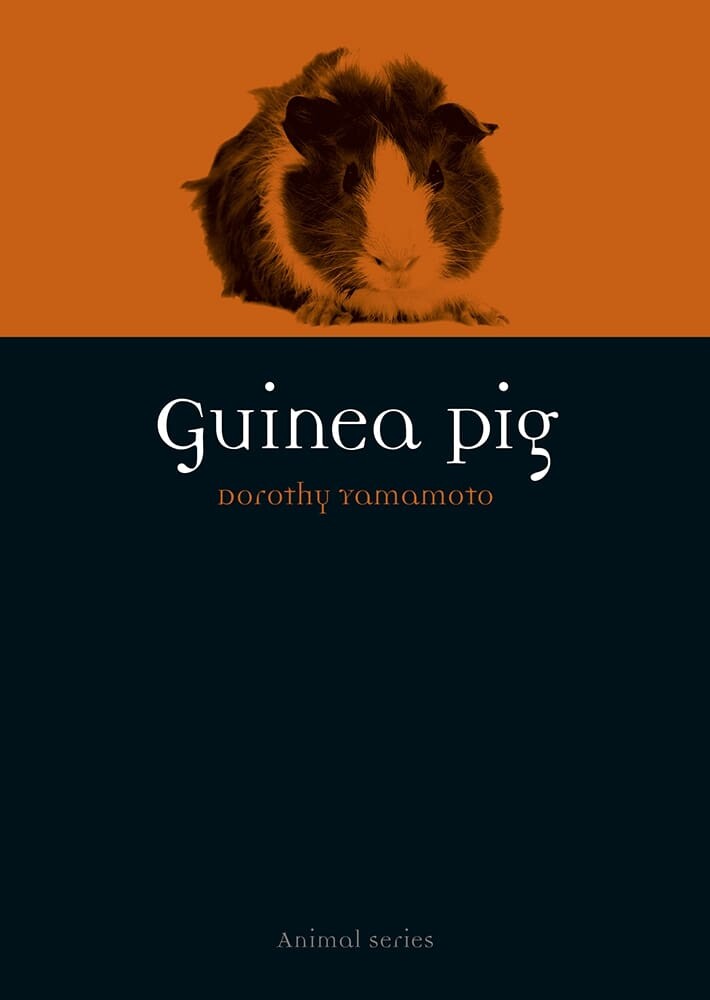 Guinea Pig (Paperback)