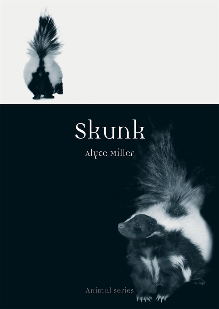 Skunk (Paperback)