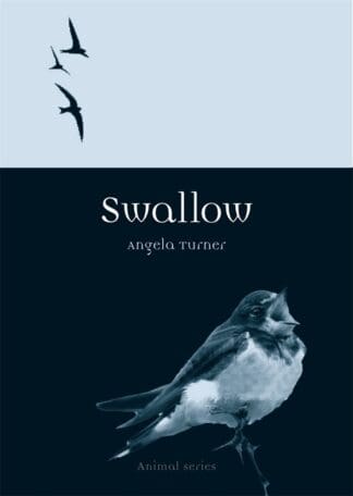 Swallow (Paperback)