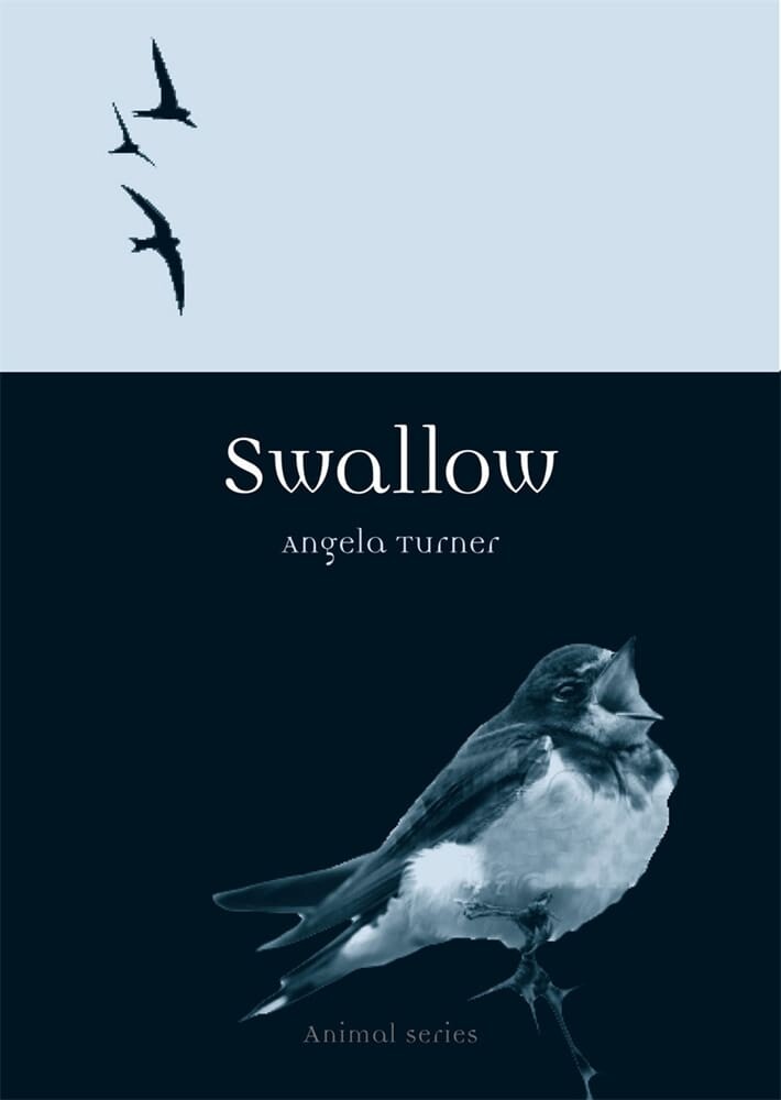 Swallow (Paperback)