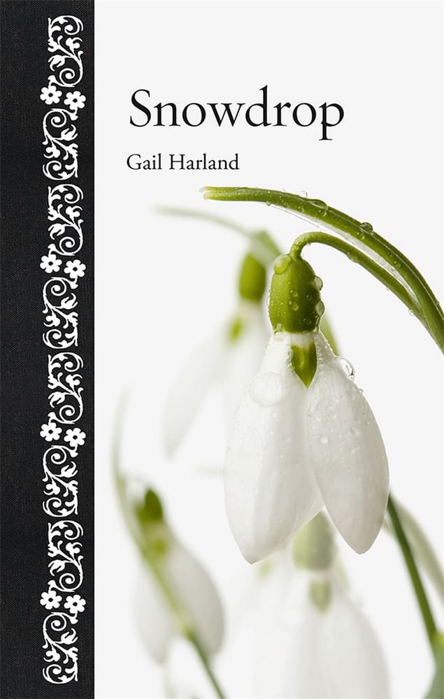Snowdrop (Hardback)