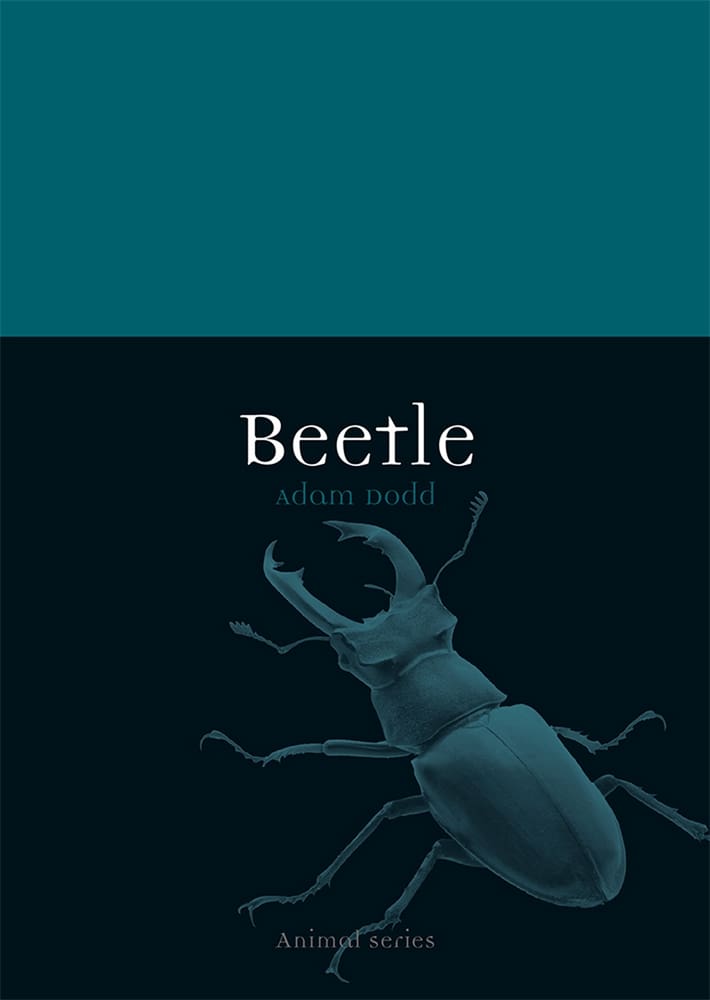 Beetle (Ebook)