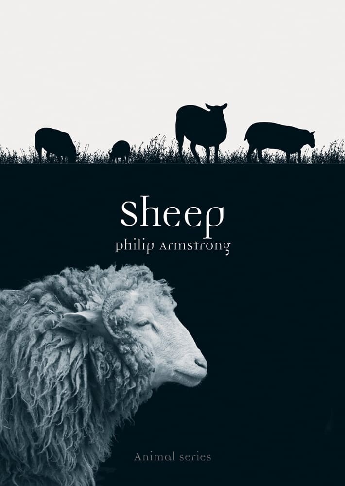 Sheep (Paperback)