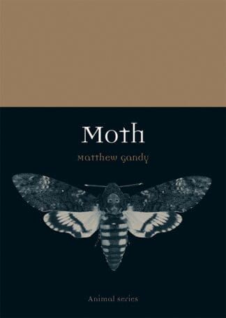 Moth (Ebook)