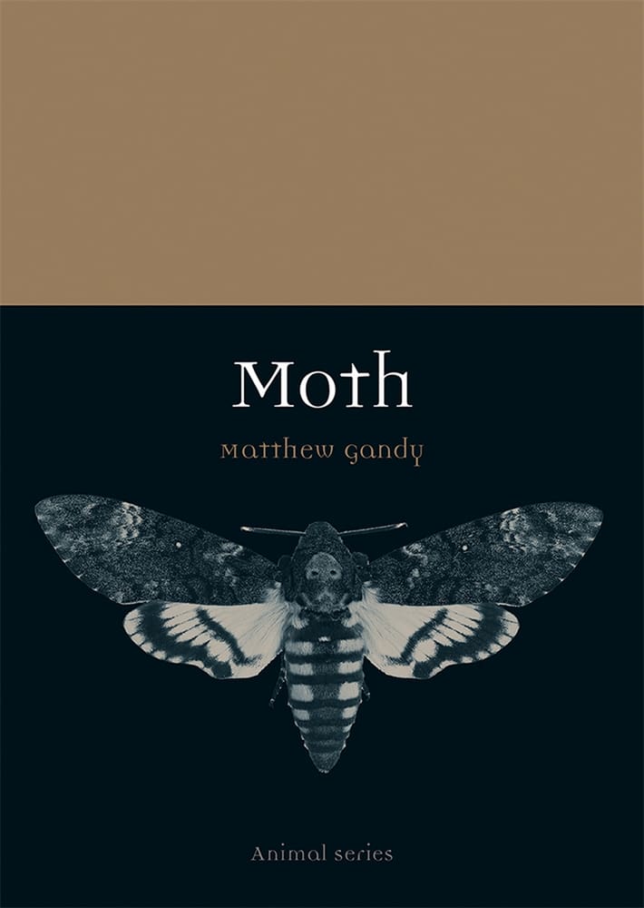 Moth (Ebook)