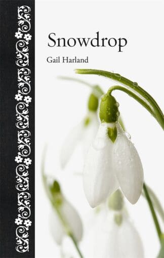 Snowdrop (Ebook)