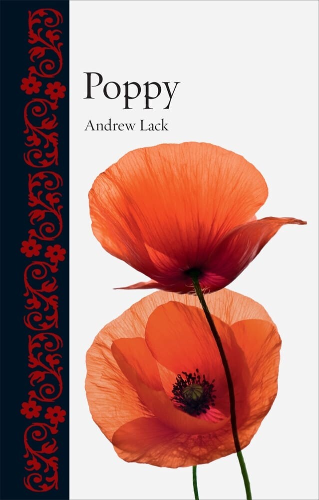Poppy (Hardback)