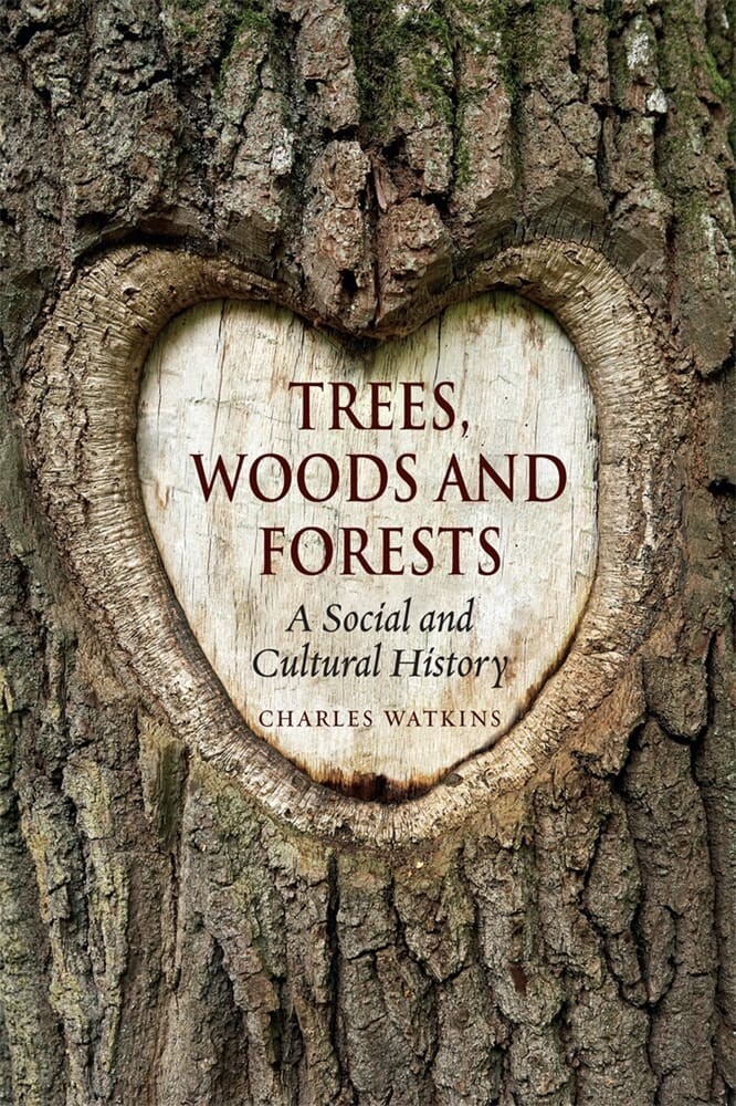 Trees, Woods and Forests (Paperback)