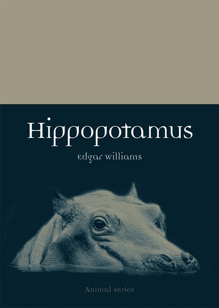 Hippopotamus (Paperback)