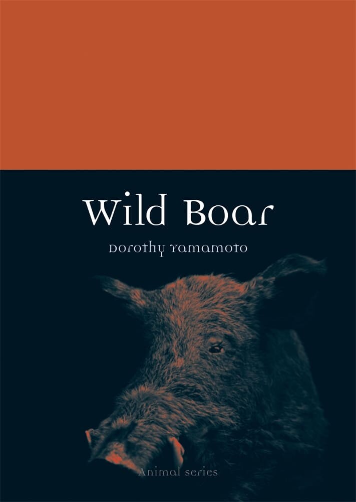 Wild Boar (Paperback)