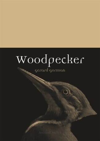 Woodpecker (Paperback)