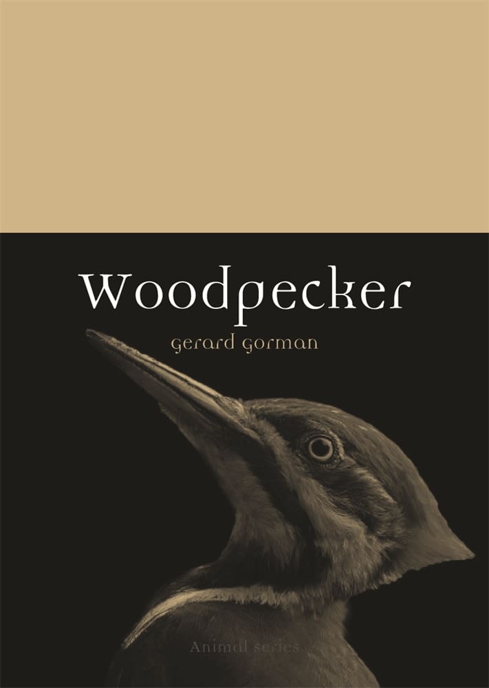 Woodpecker (Paperback)