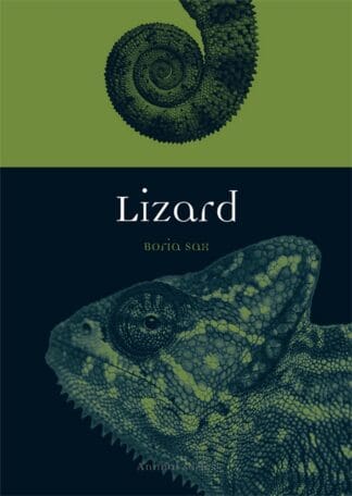 Lizard (Ebook)