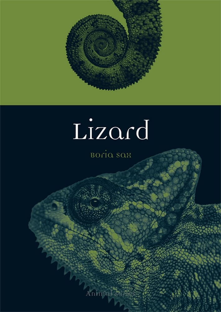 Lizard (Ebook)