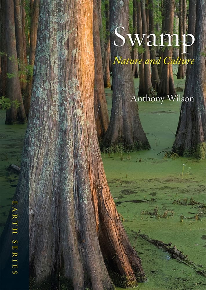 Swamp (Ebook)