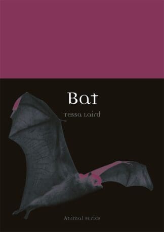 Bat (Paperback)