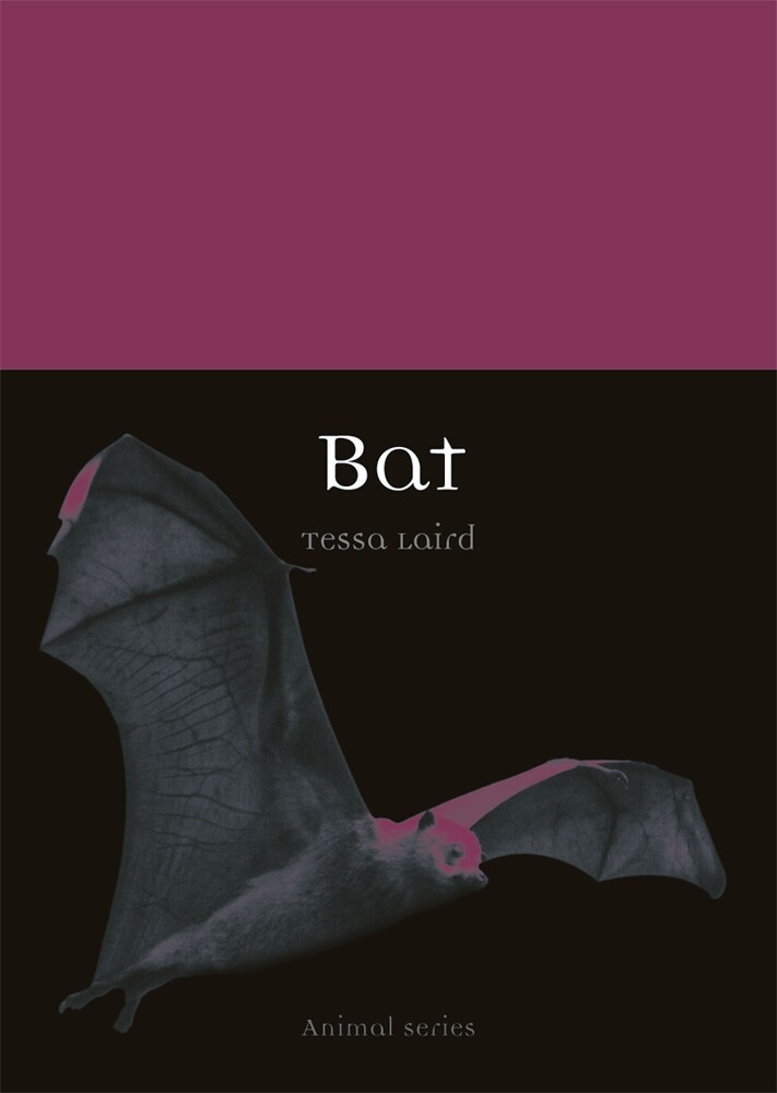 Bat (Paperback)