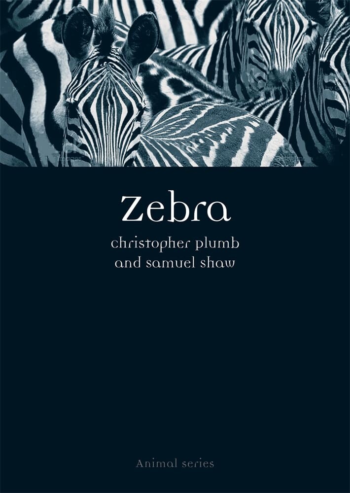Zebra (Paperback)