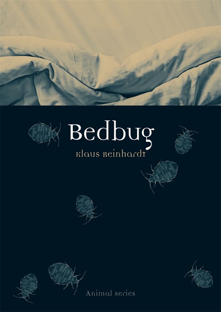 Bedbug (Paperback)