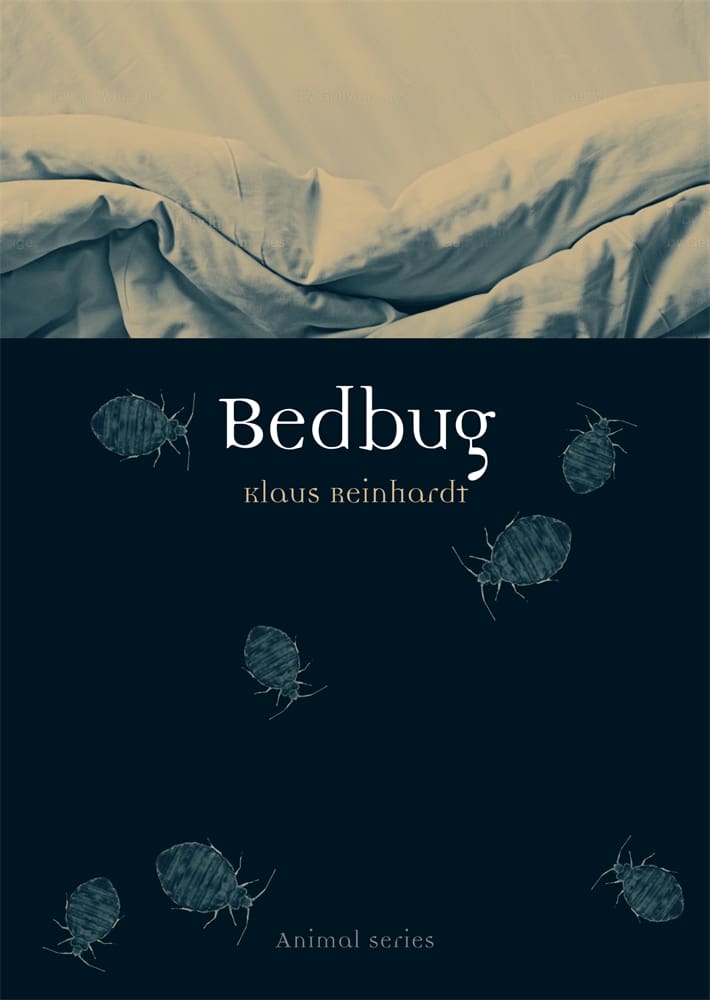 Bedbug (Paperback)