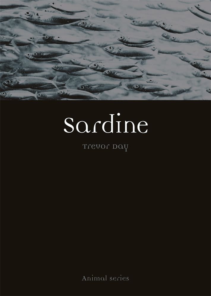 Sardine (Paperback)