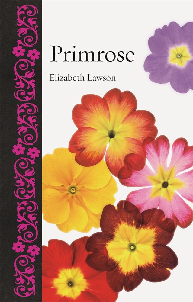 Primrose (Hardback)