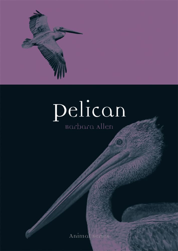Pelican (Ebook)