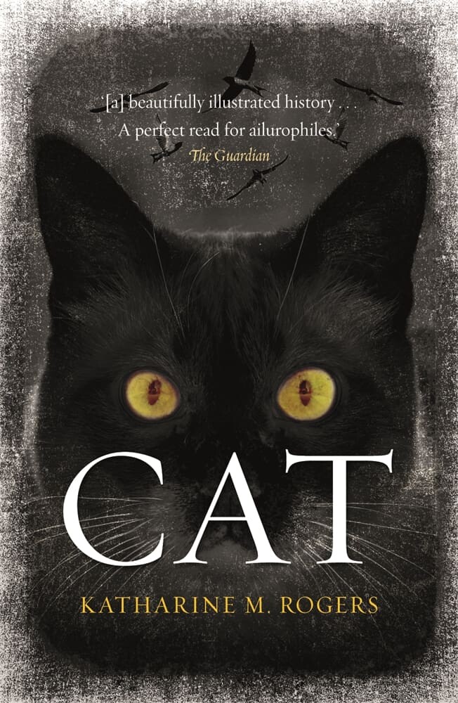 Cat (Paperback)